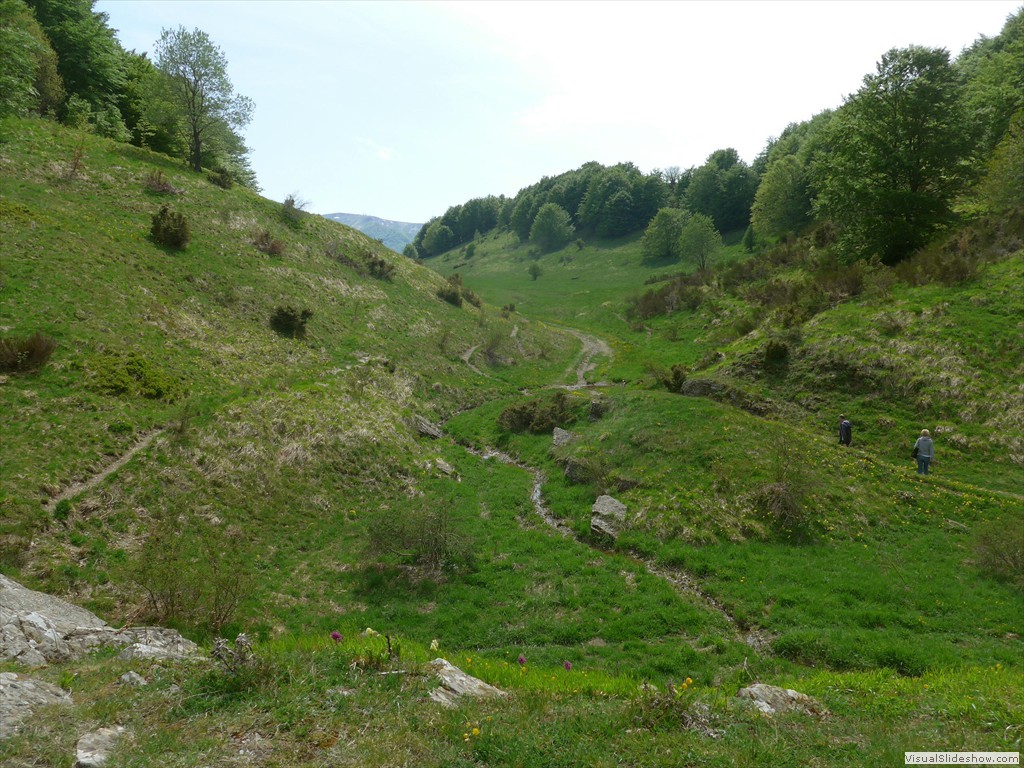 P1040756
