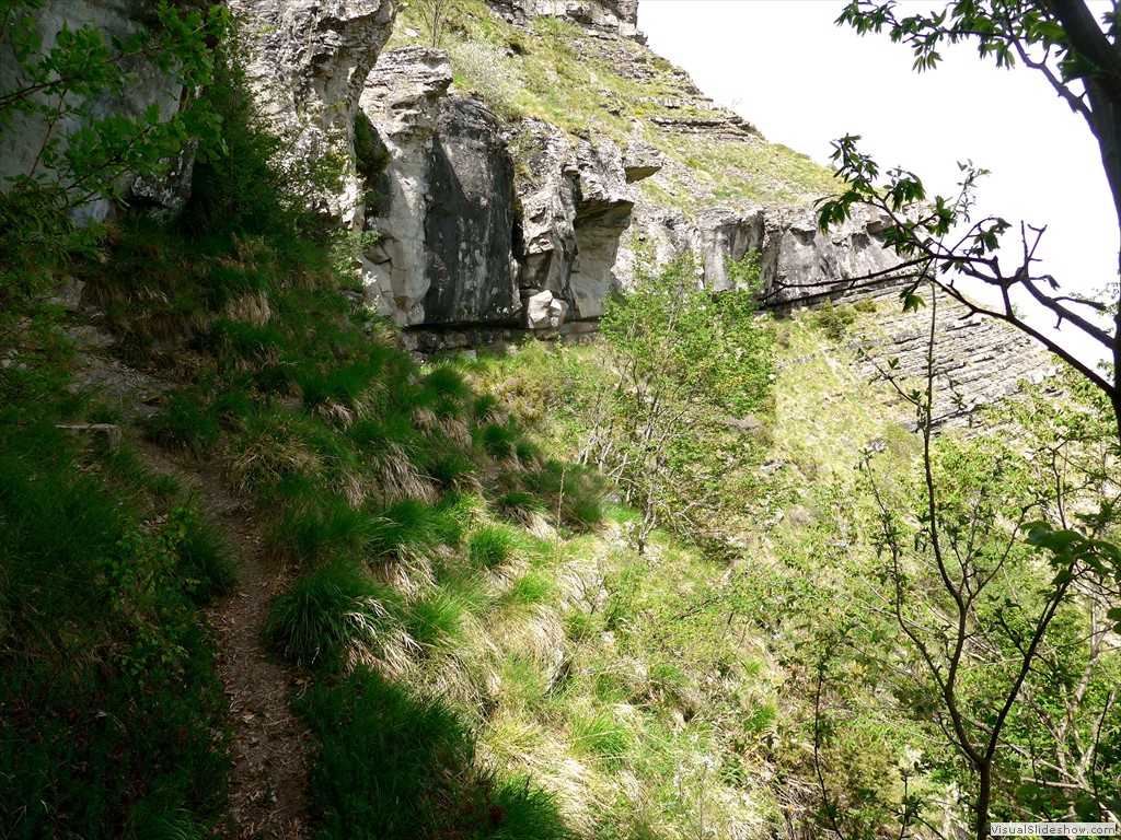 P1040763