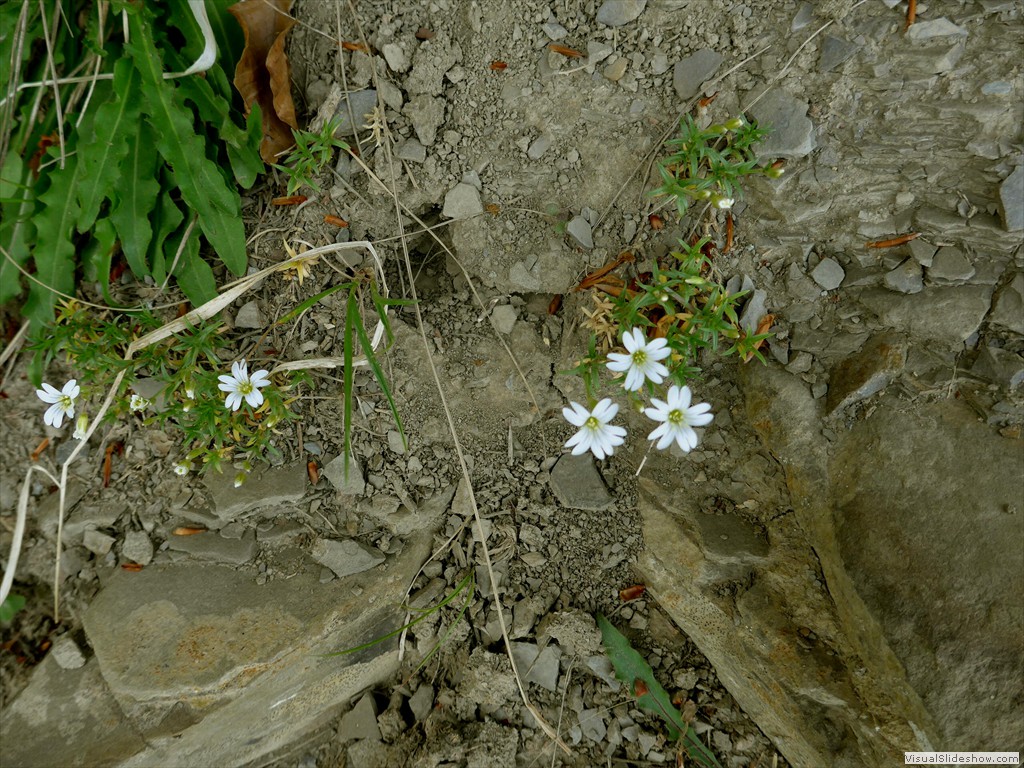 P1040764