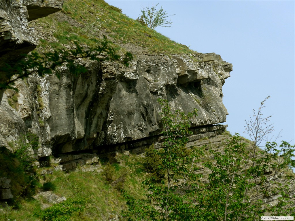 P1040767