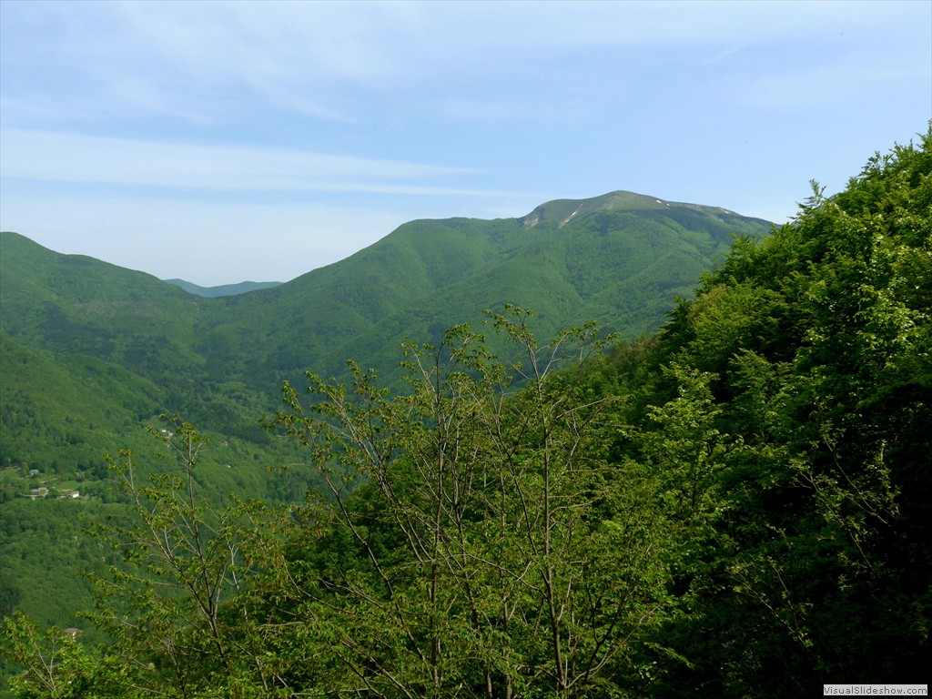 P1040768