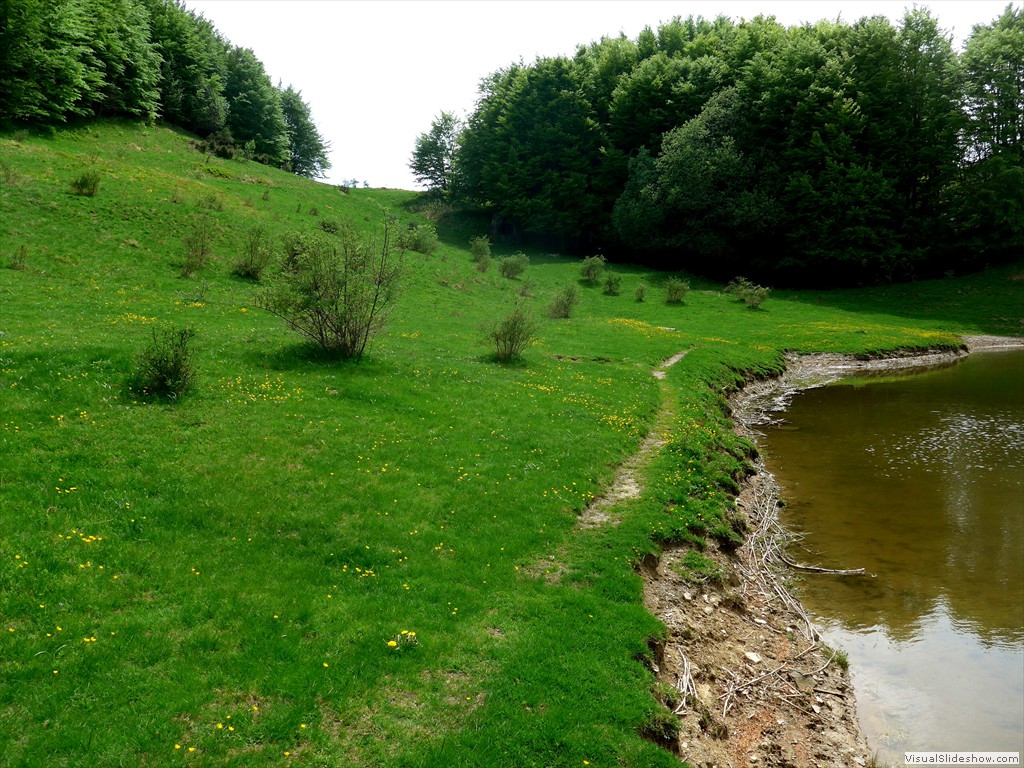 P1040769