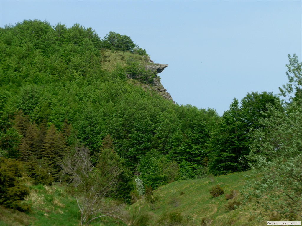 P1040772