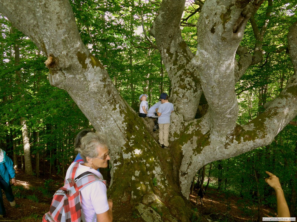 P1040777