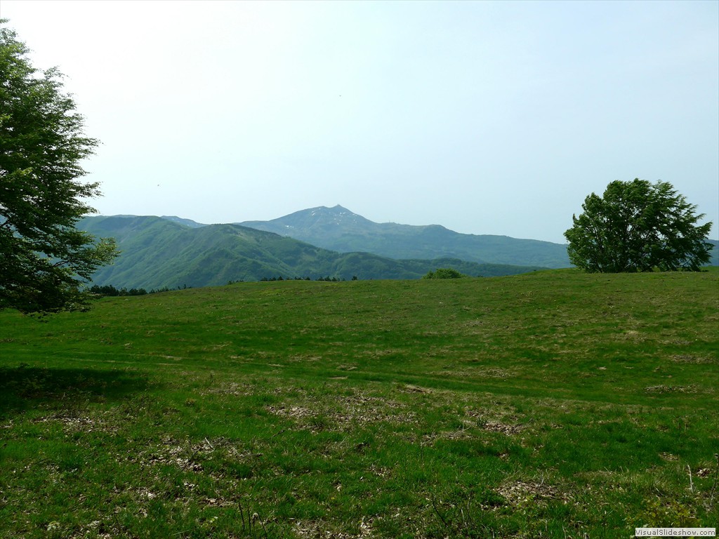 P1040779