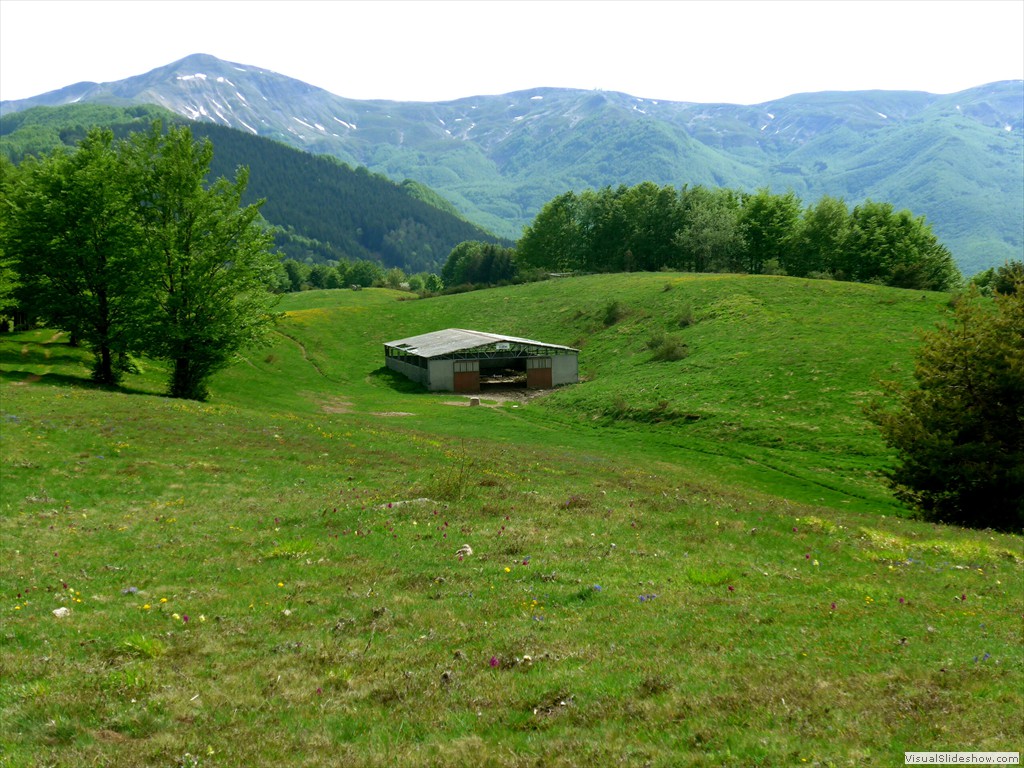 P1040784