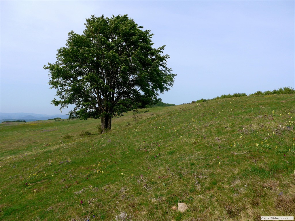 P1040790