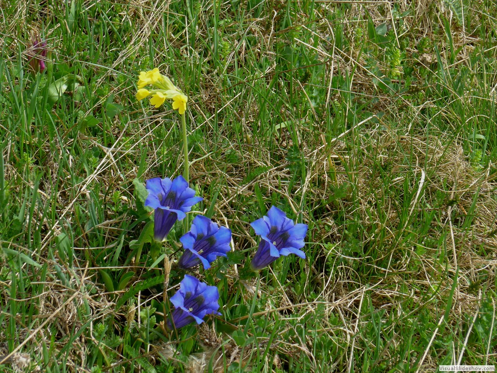 P1040792