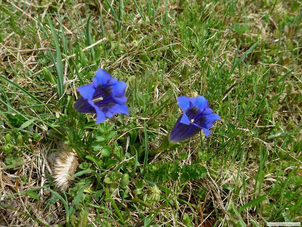 P1040793