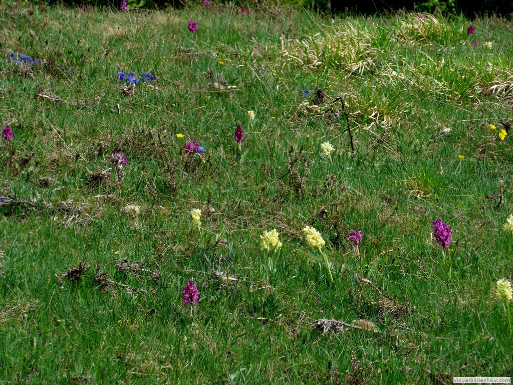 P1040795