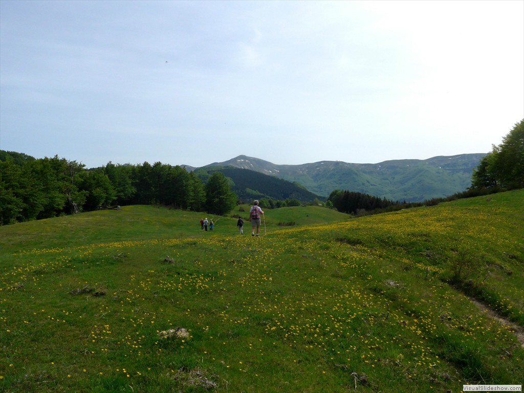 P1040803