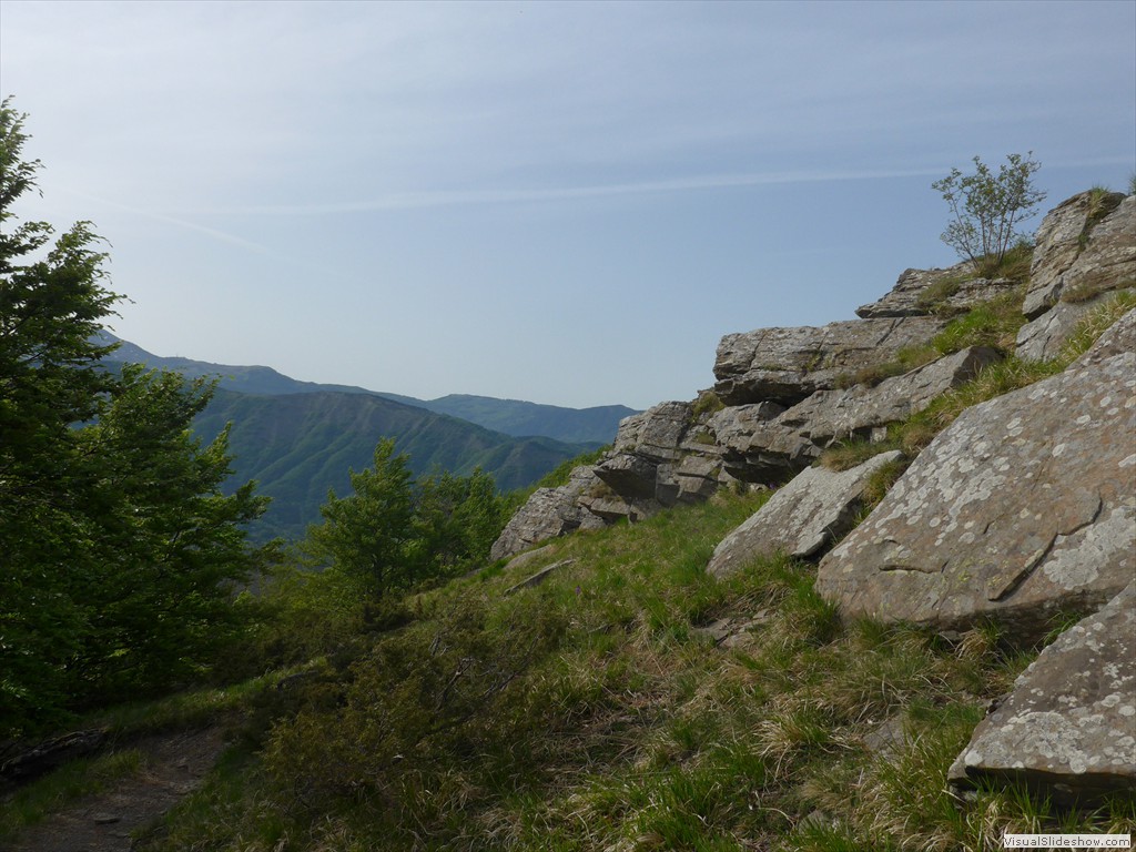 P1040808