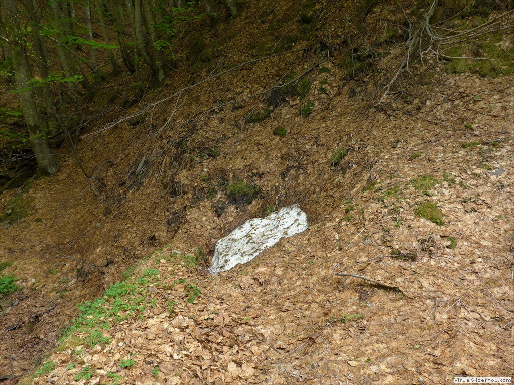 P1040810