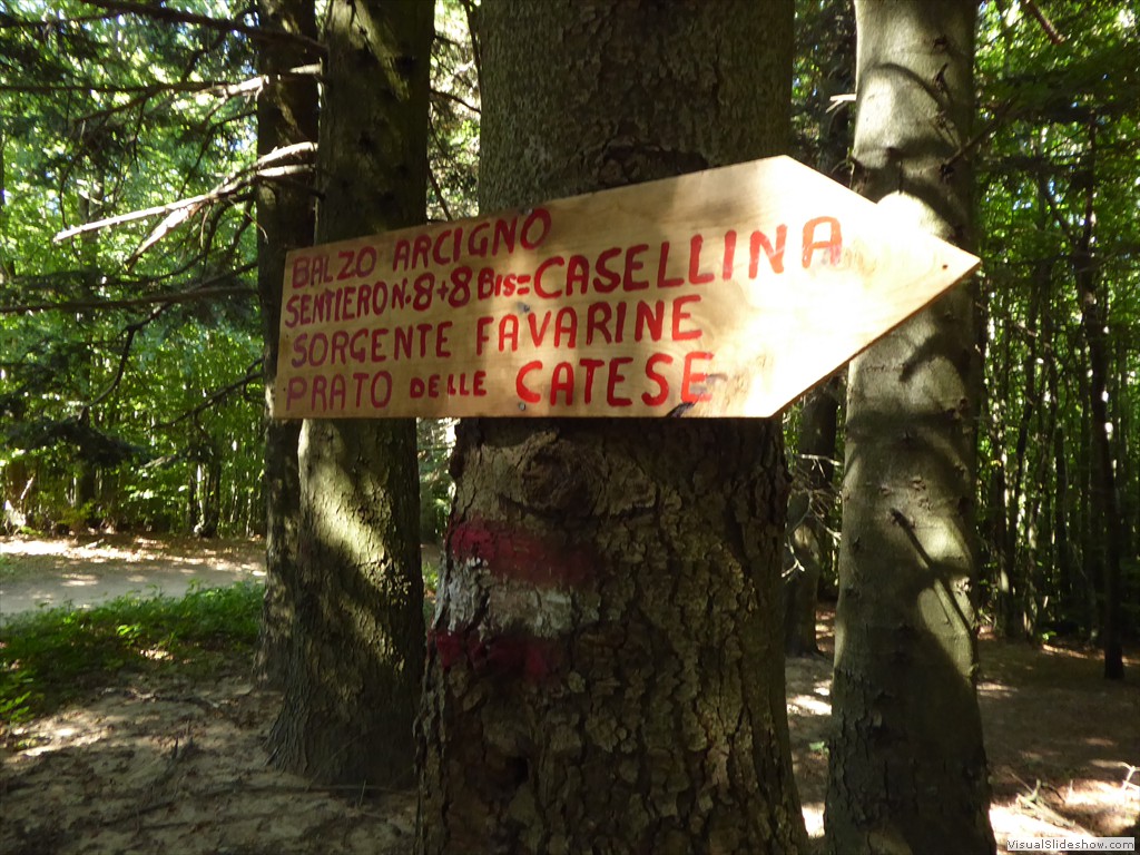 P1000702