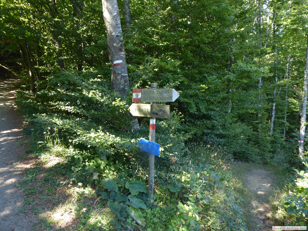 P1000704