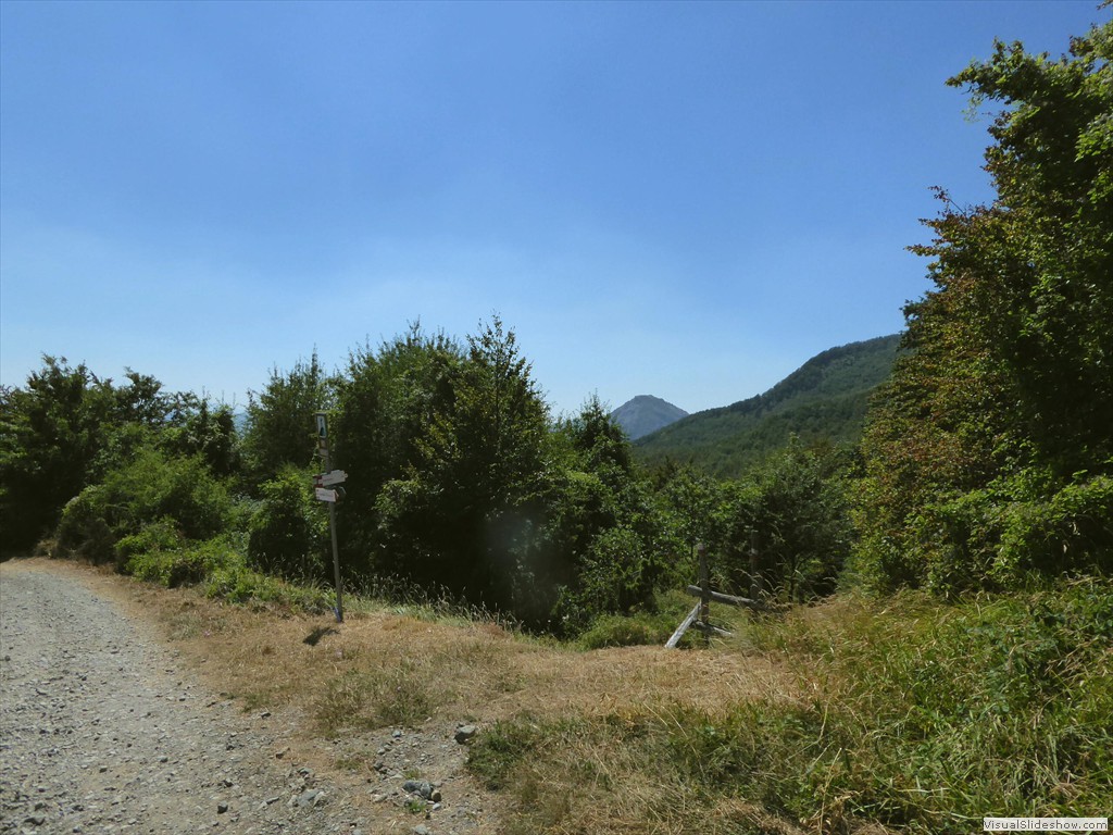 P1000718