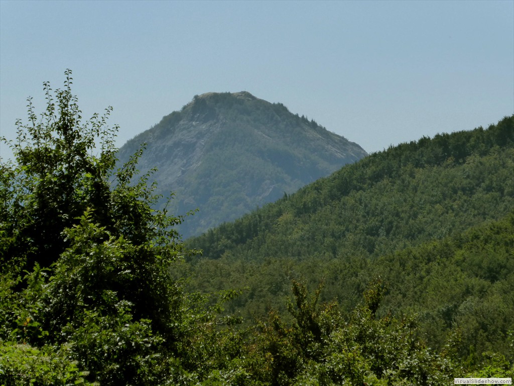 P1000719