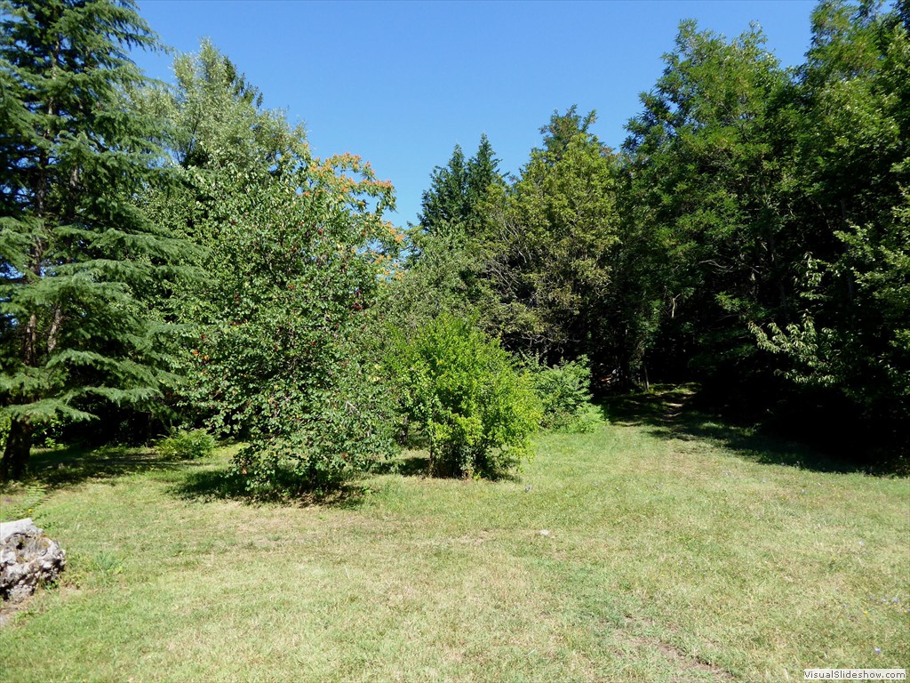 P1000043