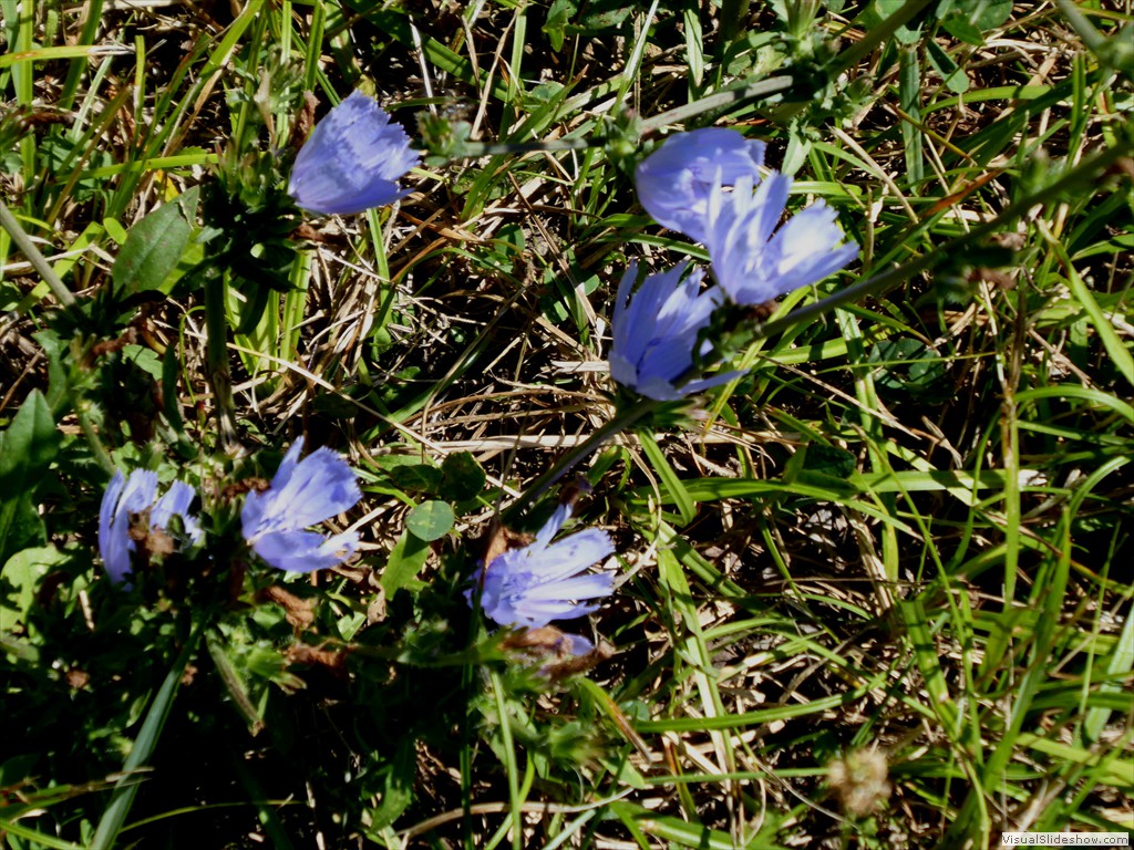P1000047