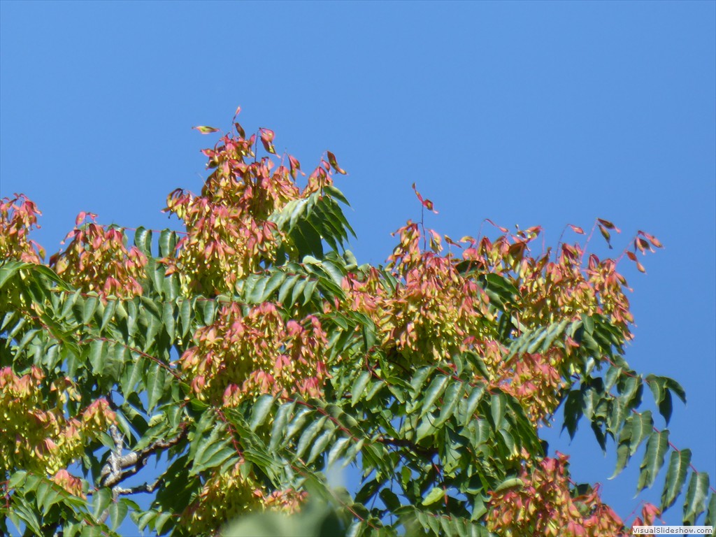 P1000049