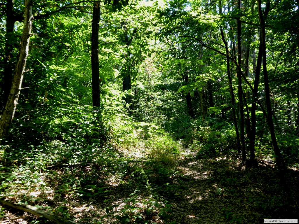 P1000058
