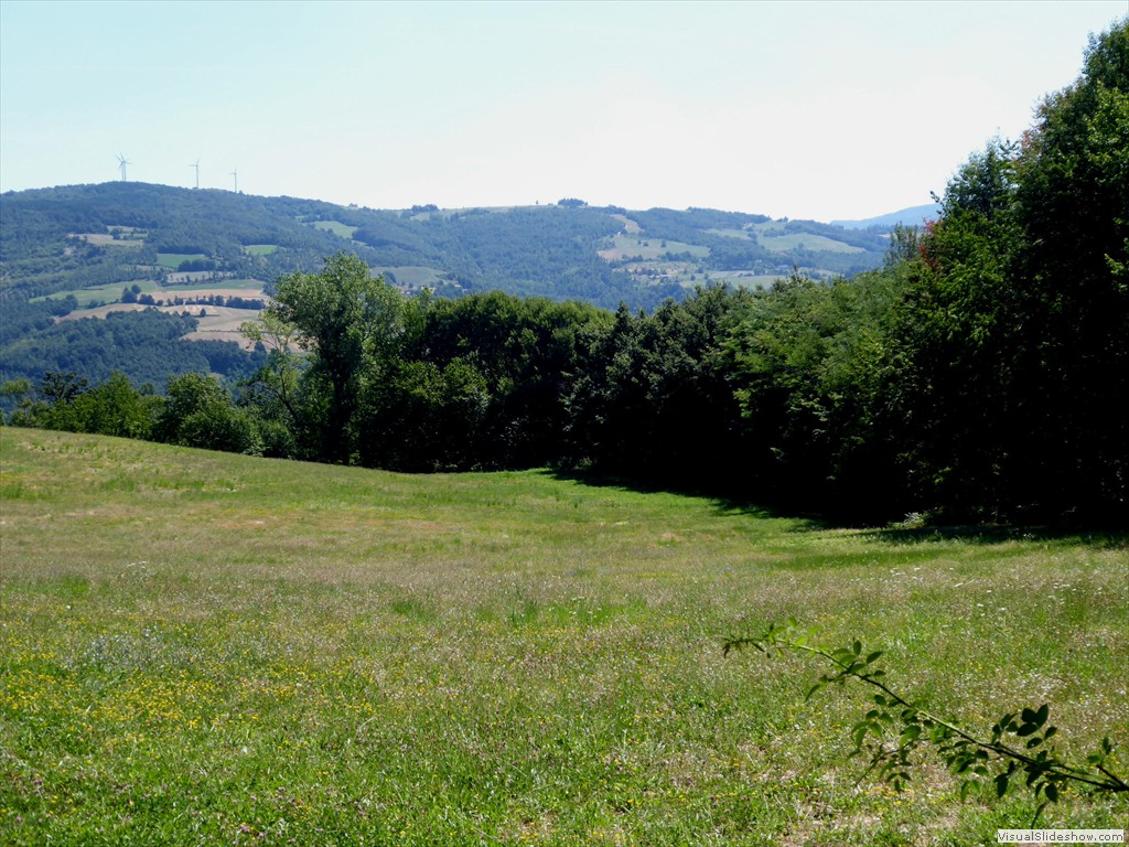P1000061
