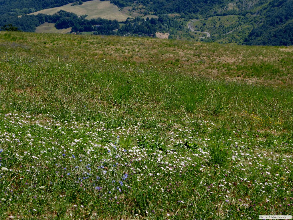 P1000062