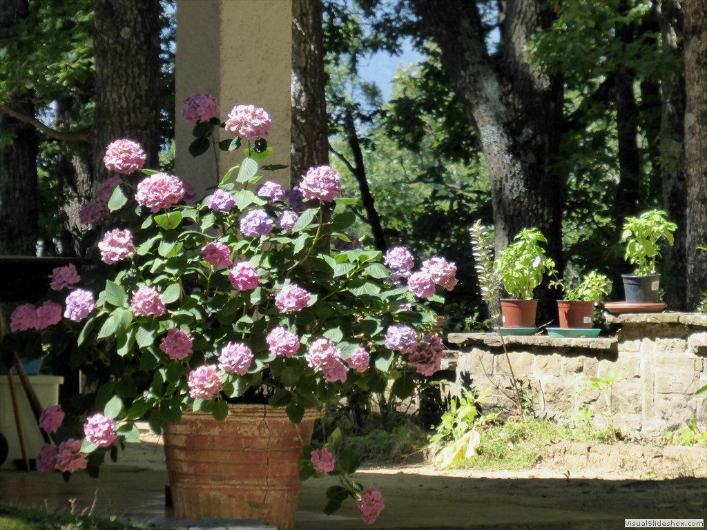 P1000069
