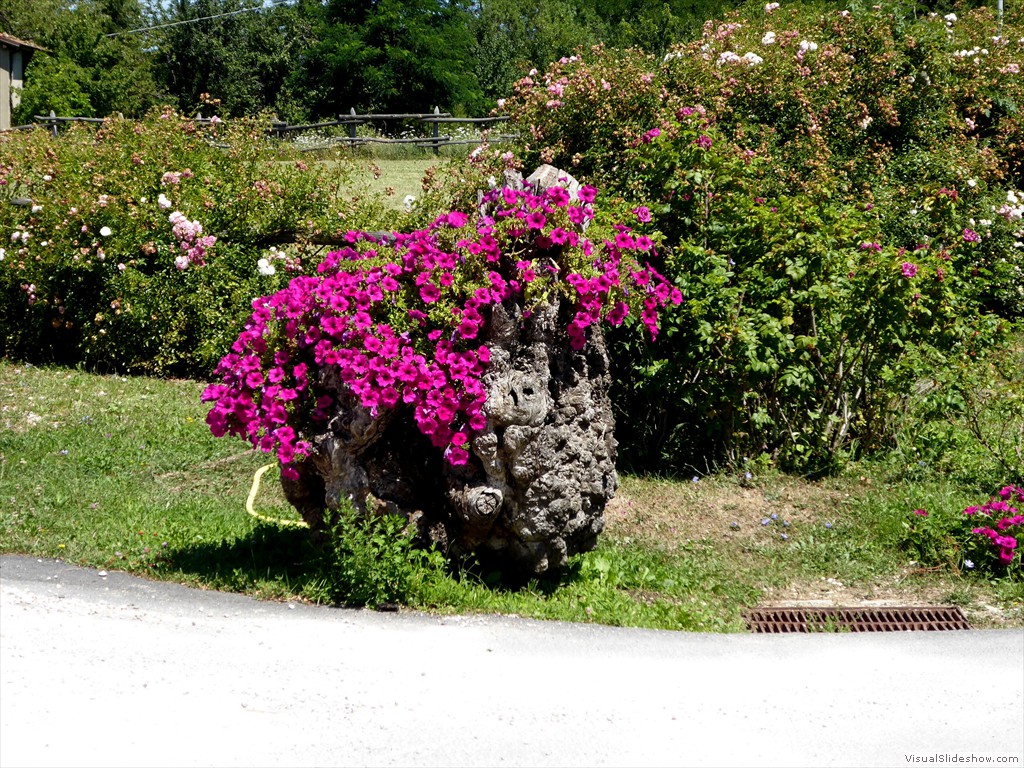 P1000071