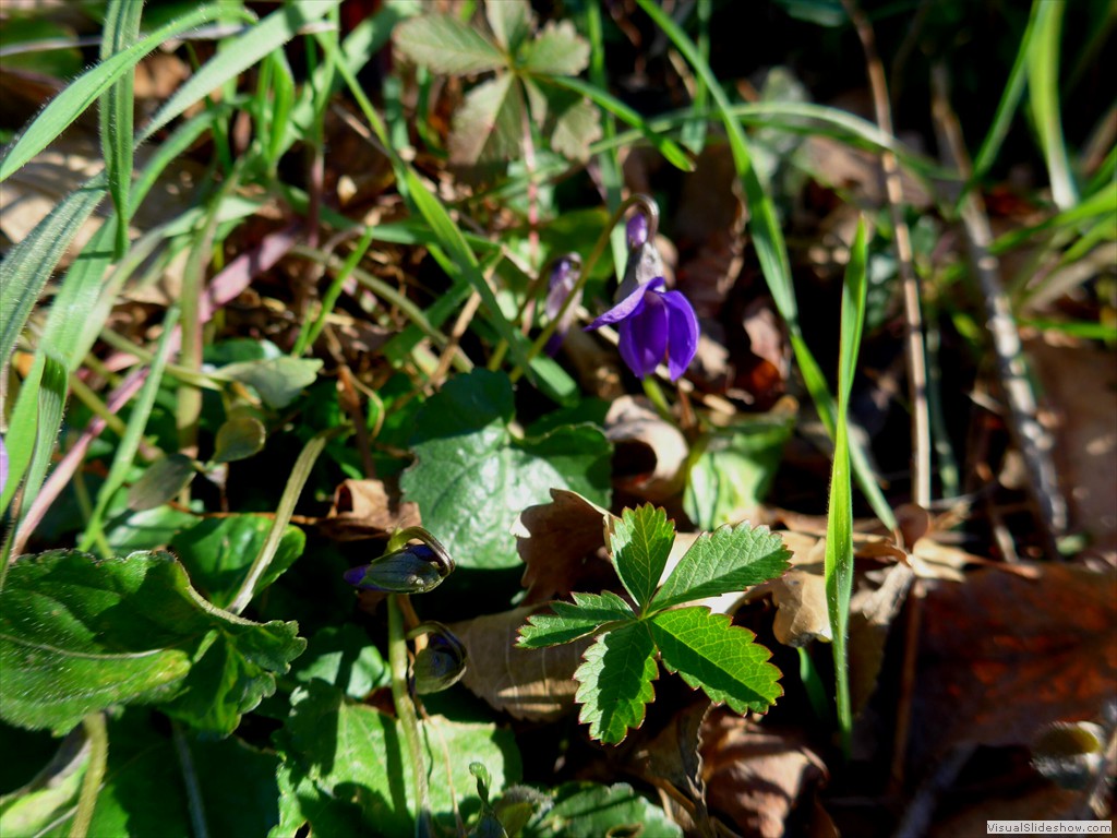 P1100554