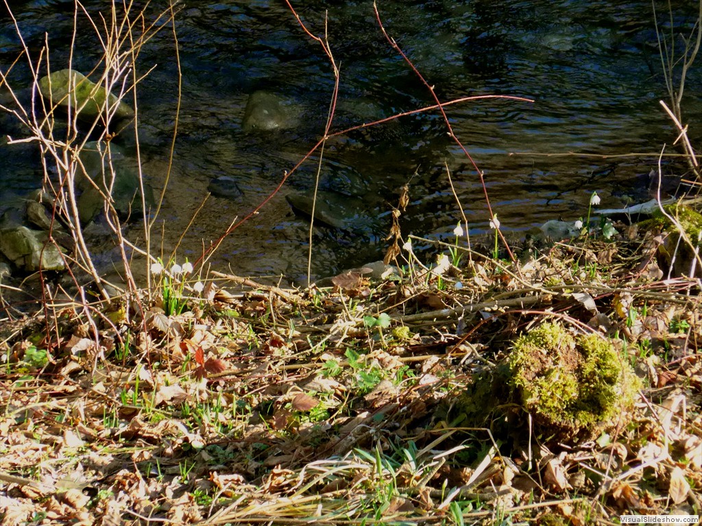 P1100562