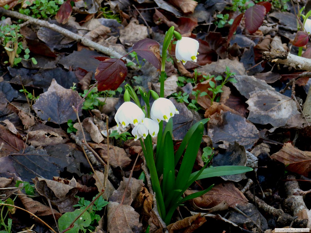 P1100563