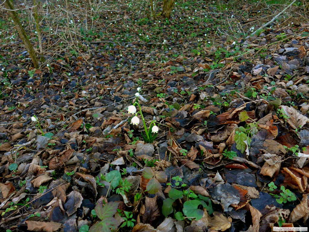 P1100565