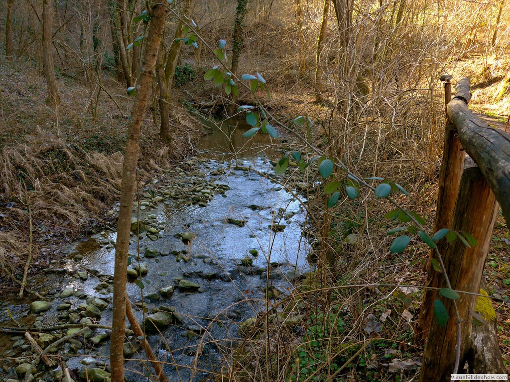 P1100566