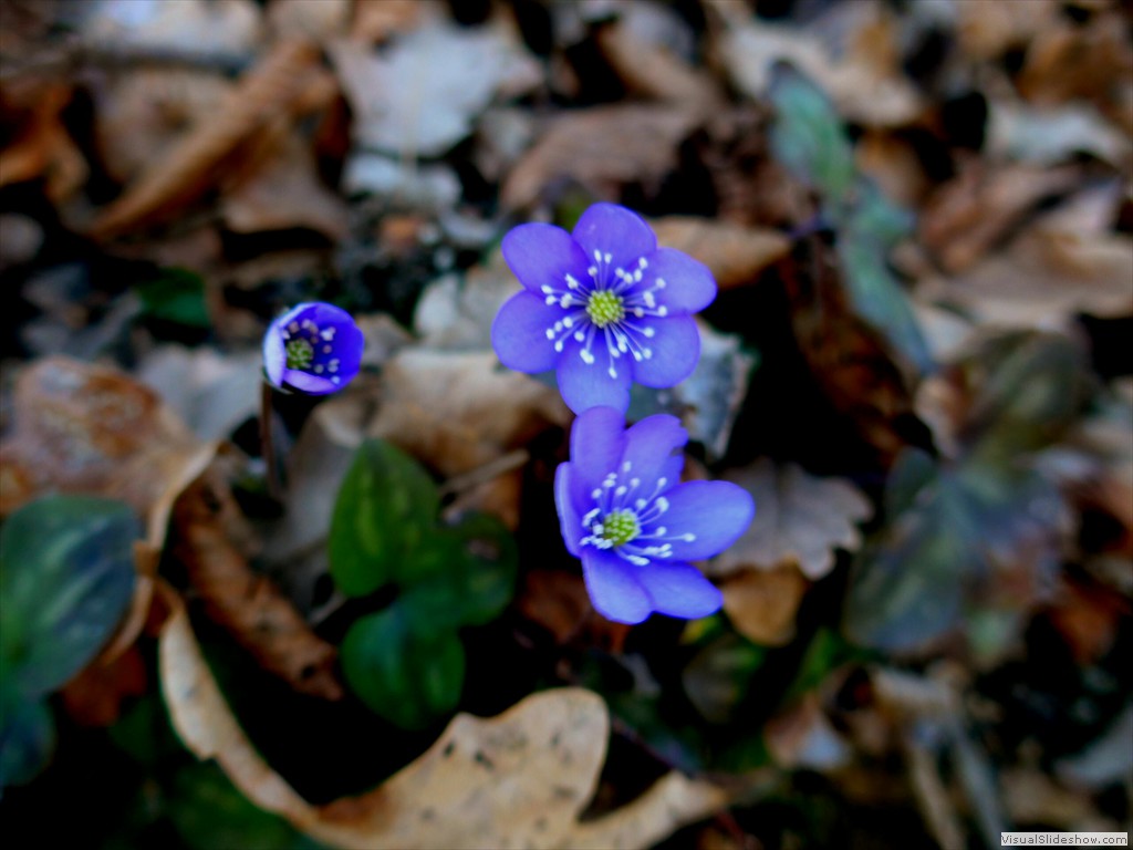 P1100577
