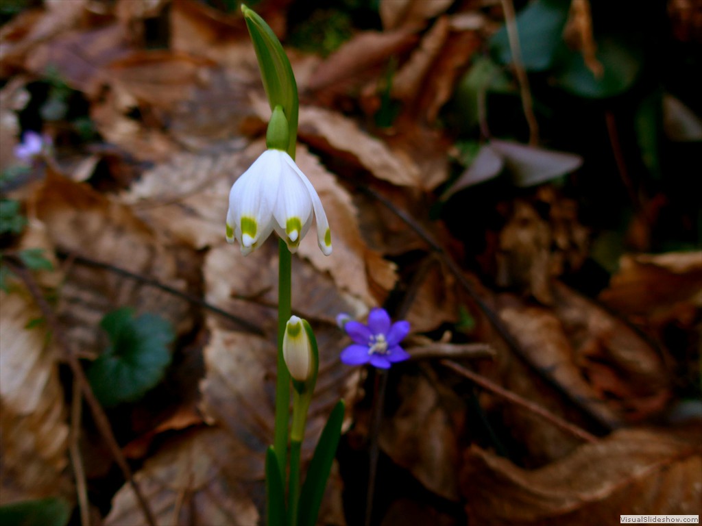 P1100590