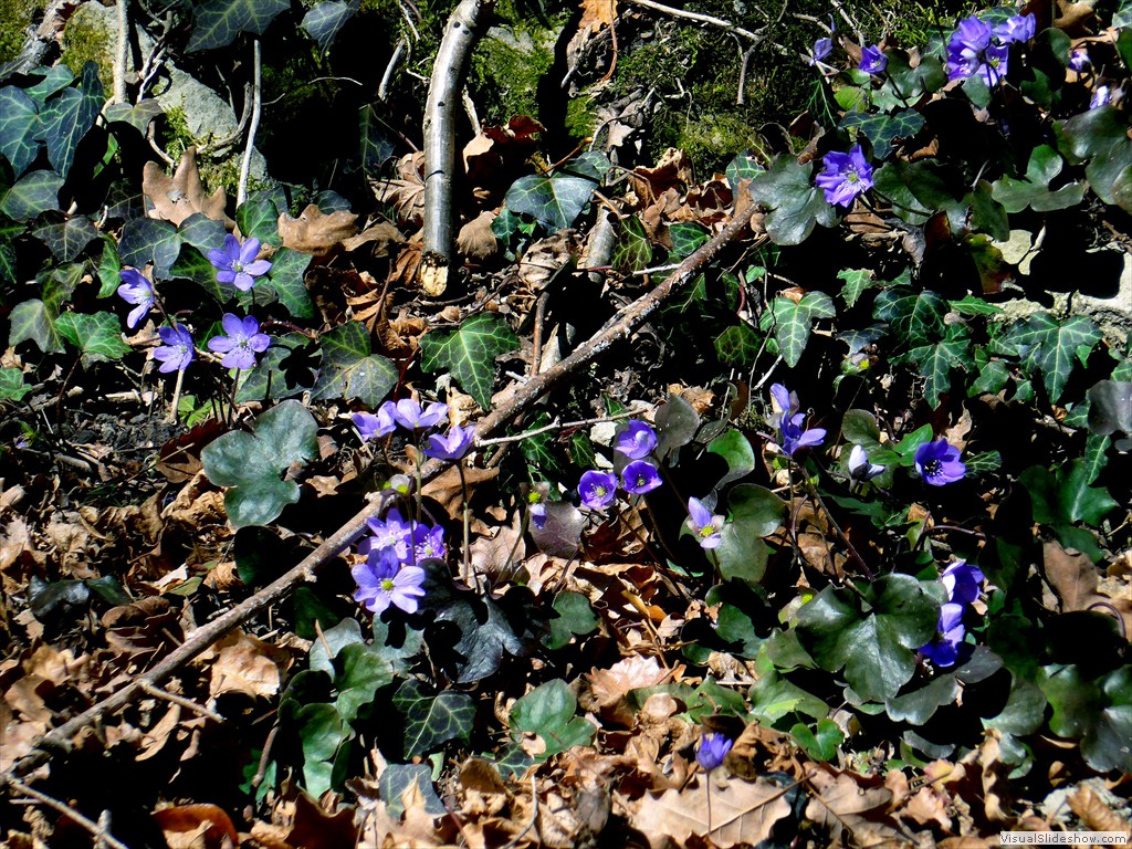 P1100620