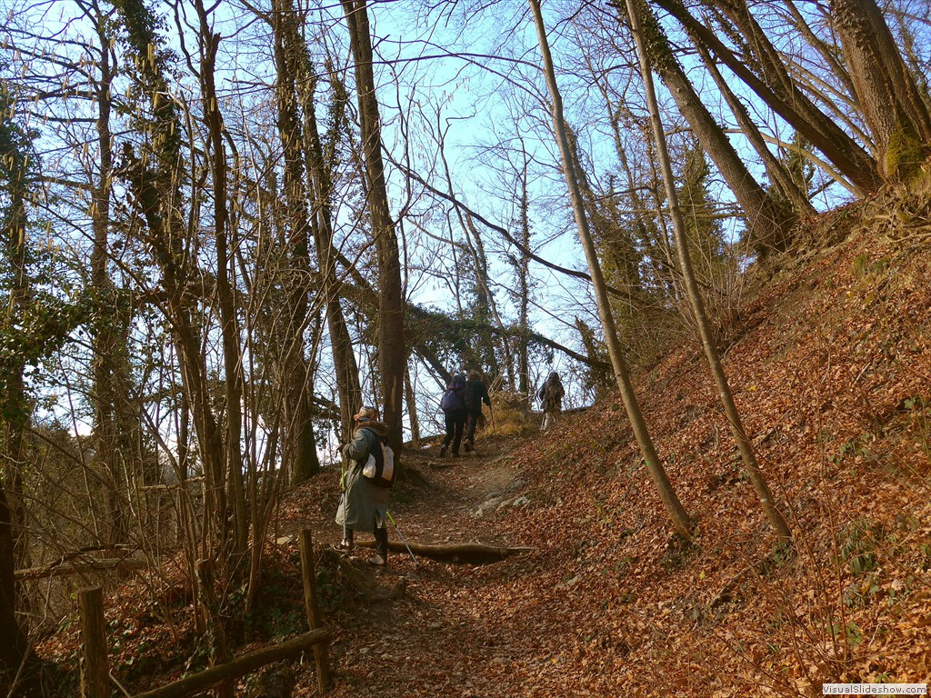 P1100622