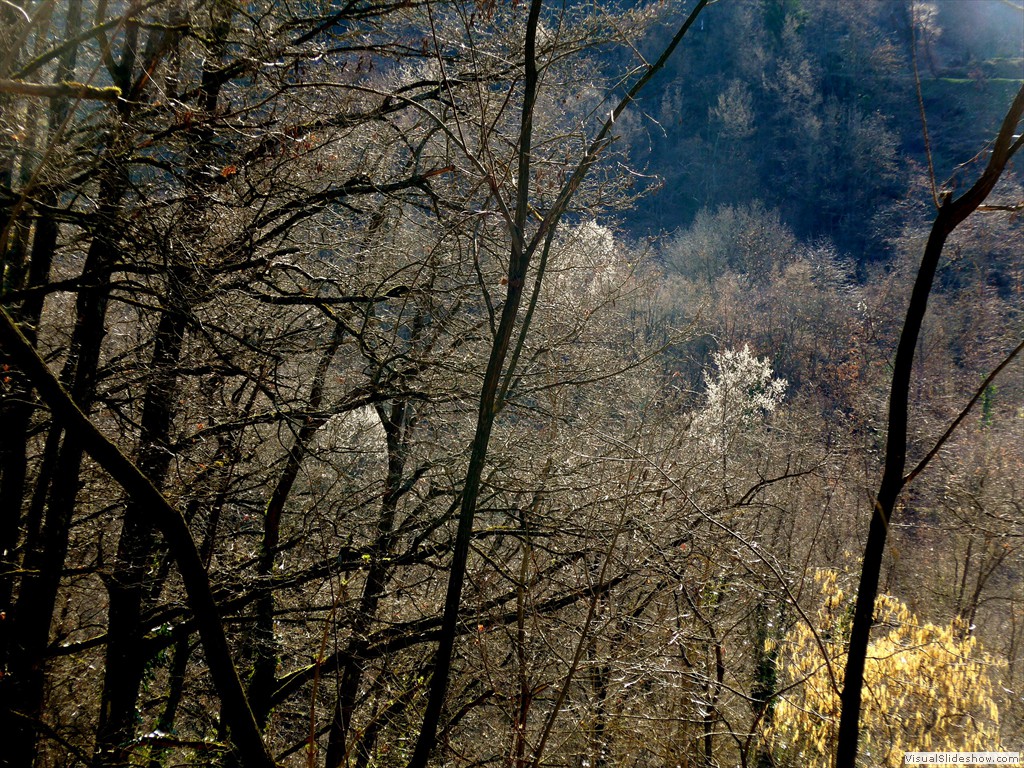 P1100627