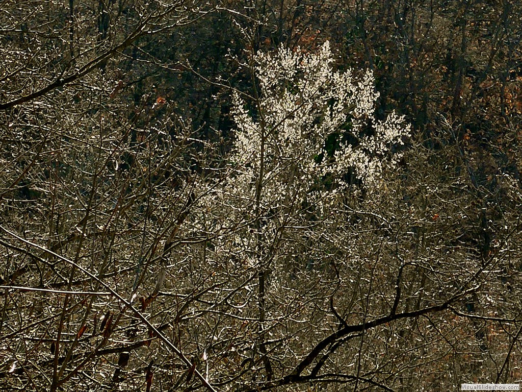 P1100628