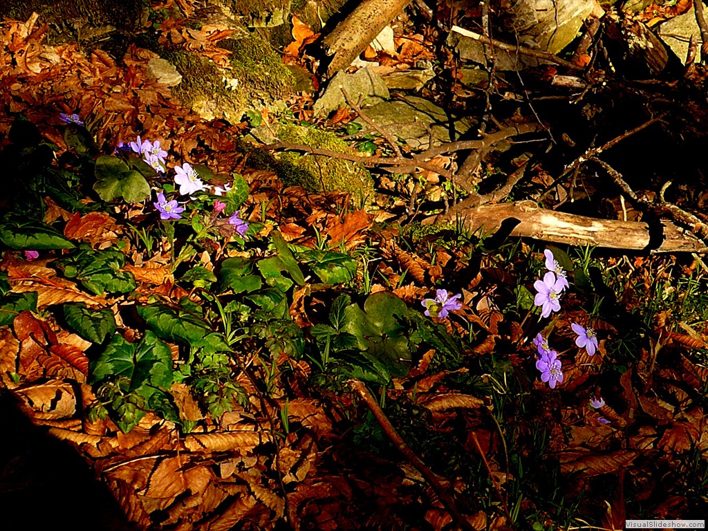 P1100637