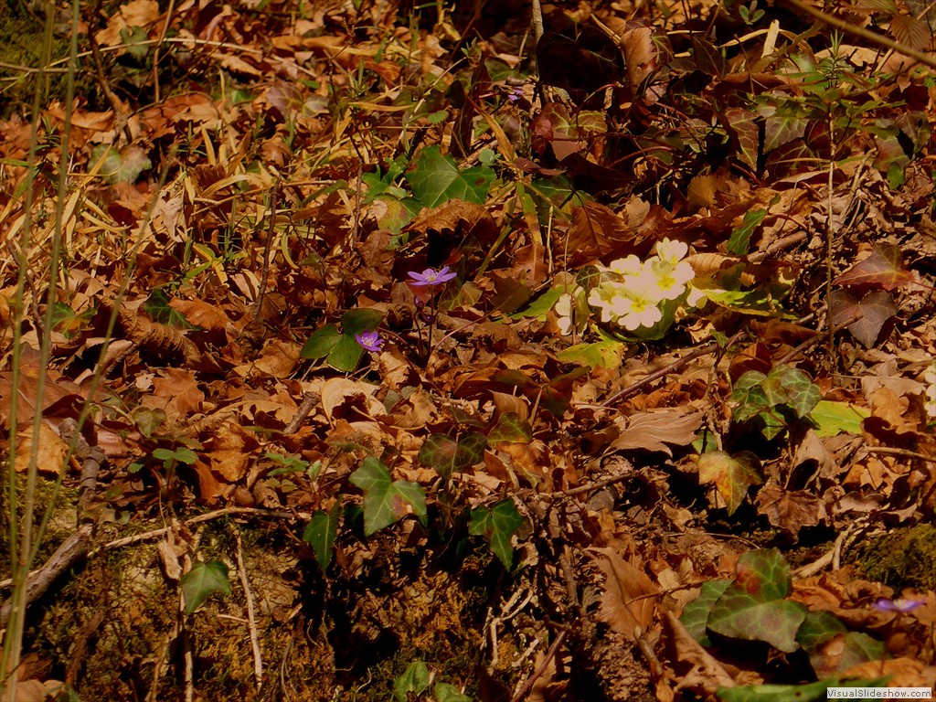 P1100640