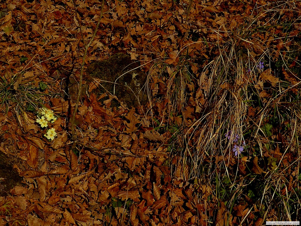 P1100641