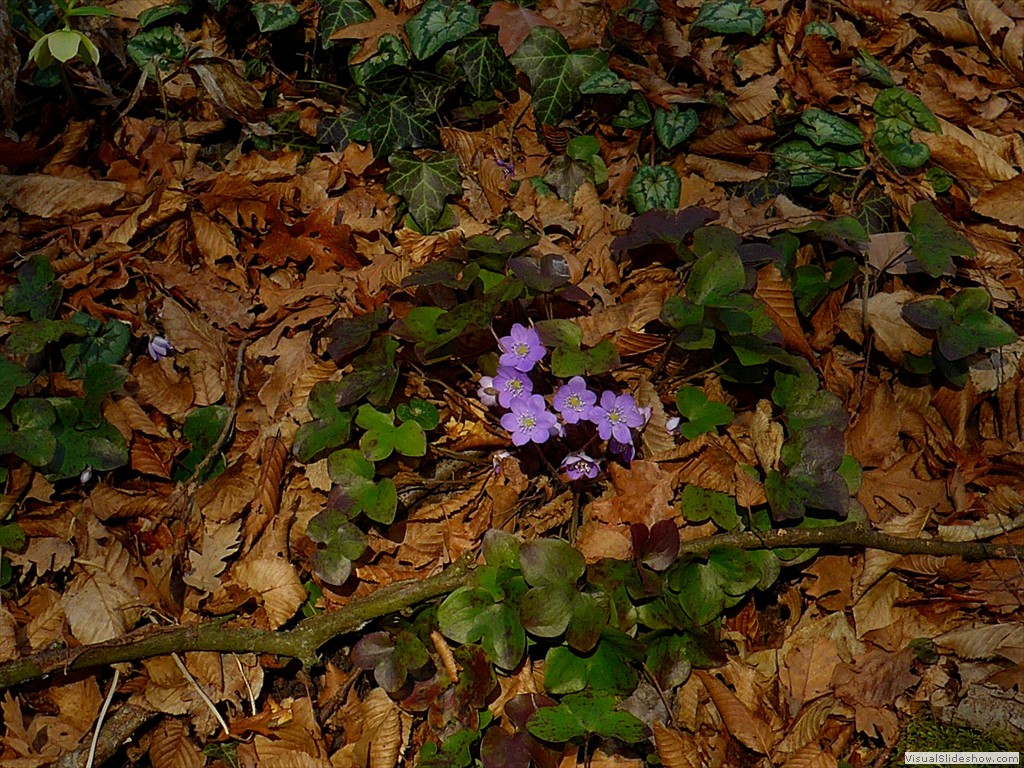 P1100644