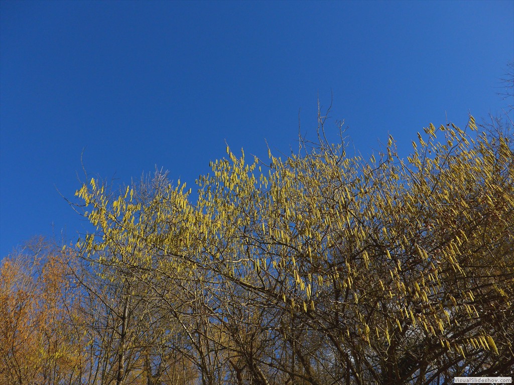 P1100650
