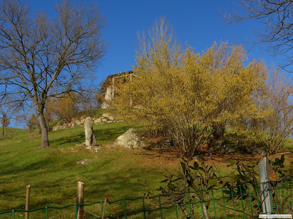 P1100651