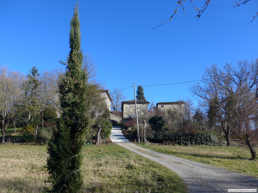 P1100659