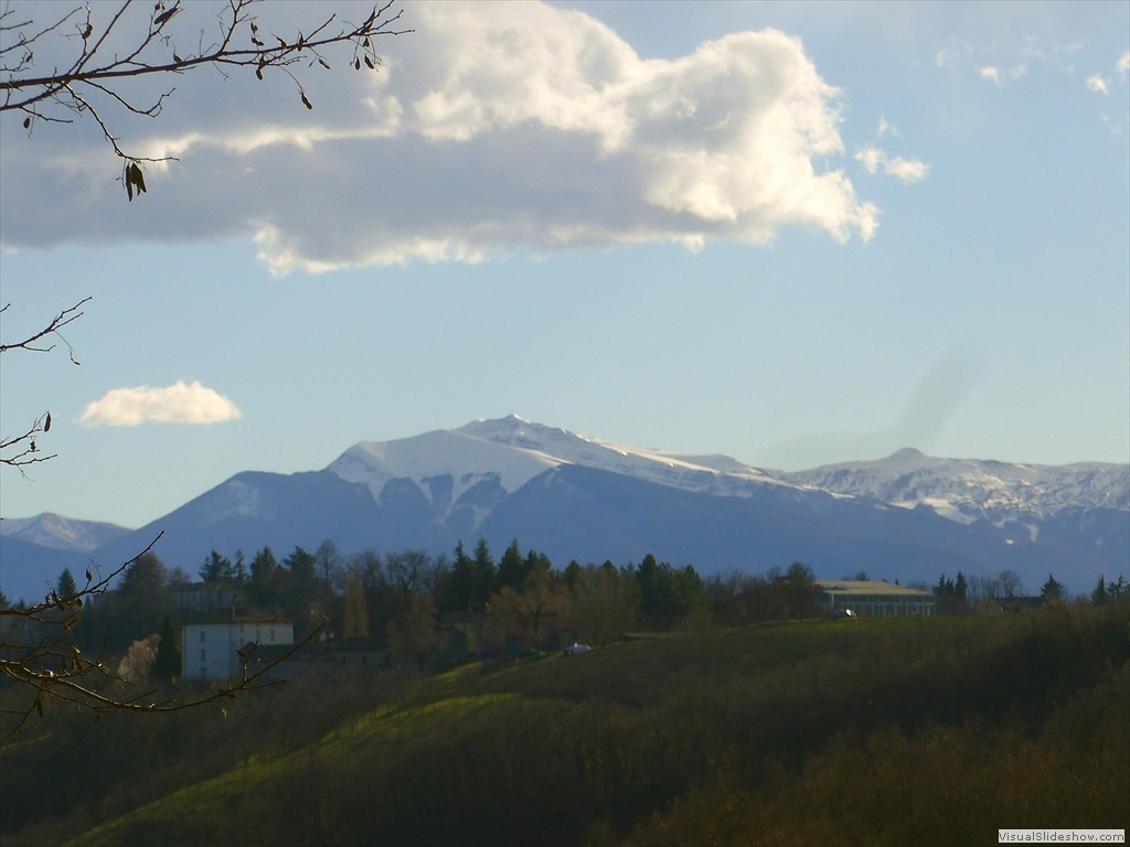 P1100661