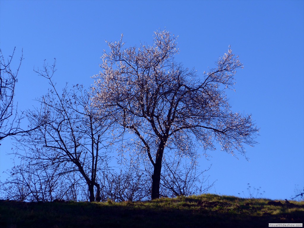 P1100675