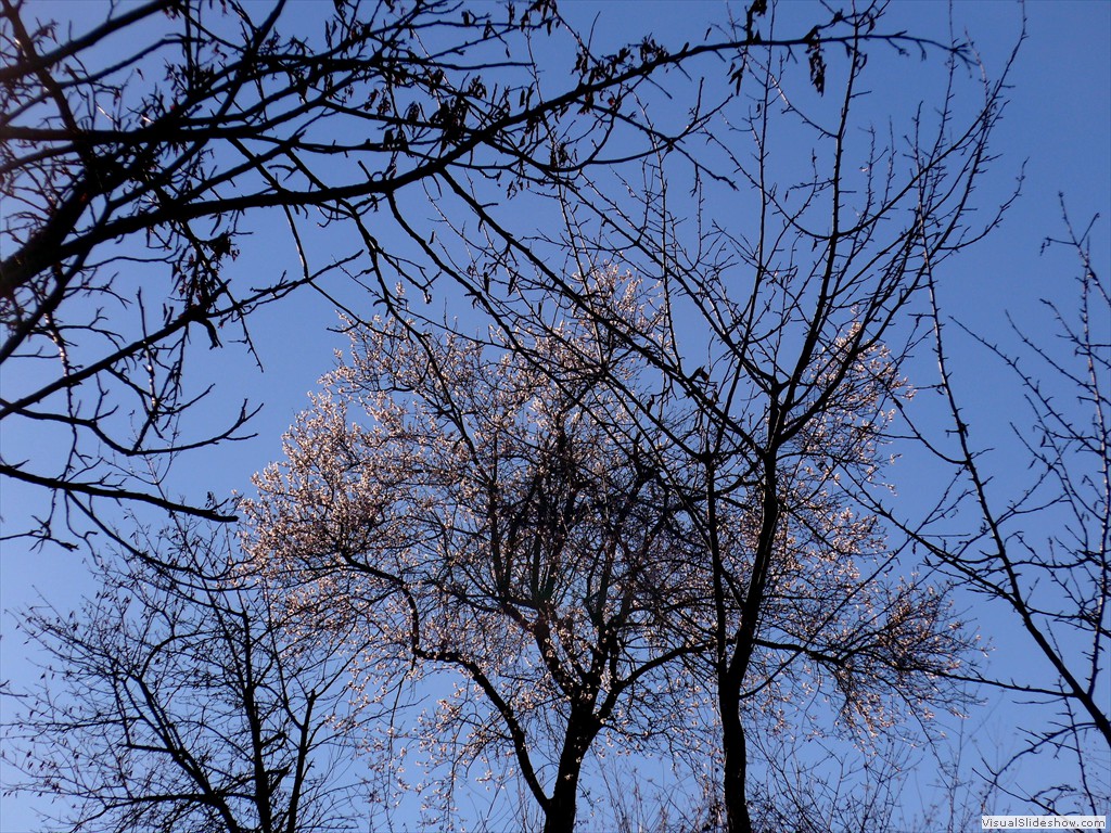 P1100676